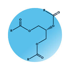 Glycerol Esters
